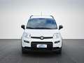 Fiat Panda 1.0 FireFly S&S Hybrid CityLife 04/22 Bianco - thumbnail 2