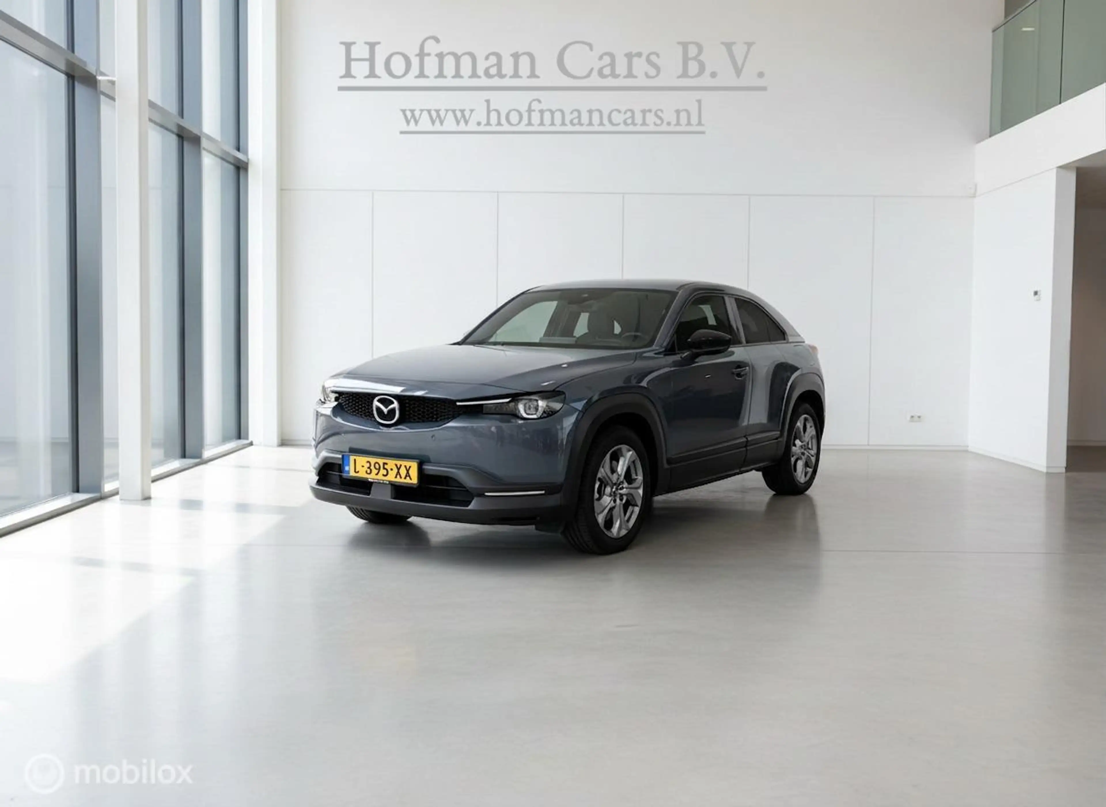 Mazda MX-30 e-SkyActiv 145 36 kWh | SOH 94% MOBA | Camera | St