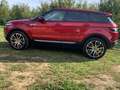 Land Rover Range Rover Evoque Range Rover Evoque 5p 2.2 td4 Dynamic 150cv Rosso - thumbnail 5