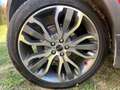Land Rover Range Rover Evoque Range Rover Evoque 5p 2.2 td4 Dynamic 150cv Rosso - thumbnail 15