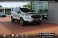 Ford EcoSport 1.0 EcoBoost Autom. Titanium BiXENON NAVI Argento - thumbnail 7