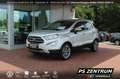 Ford EcoSport 1.0 EcoBoost Autom. Titanium BiXENON NAVI Argento - thumbnail 1