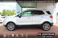 Ford EcoSport 1.0 EcoBoost Autom. Titanium BiXENON NAVI Argento - thumbnail 2