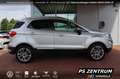Ford EcoSport 1.0 EcoBoost Autom. Titanium BiXENON NAVI Argento - thumbnail 6