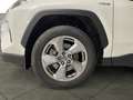 Toyota RAV 4 2.5 hybrid 4WD Advance Blanc - thumbnail 6