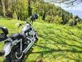 Harley-Davidson Sportster 883 Xl Argento - thumbnail 2