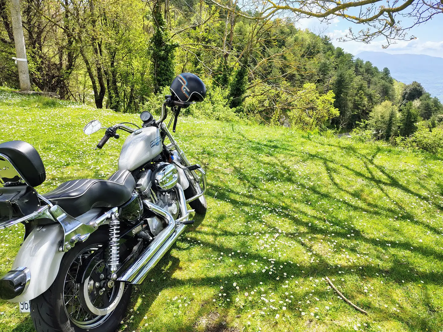 Harley-Davidson Sportster 883 Xl Argento - 2