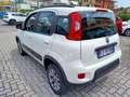 Fiat Panda 1.3 MJT 95 CV S&S 4x4 Weiß - thumbnail 15
