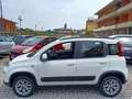 Fiat Panda 1.3 MJT 95 CV S&S 4x4 Bianco - thumbnail 14