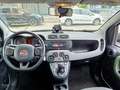 Fiat Panda 1.3 MJT 95 CV S&S 4x4 Bianco - thumbnail 9