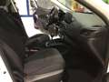 Fiat Tipo 1.6 Mjt S&S 4 porte City PROMO LUGLIO Bianco - thumbnail 14