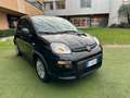 Fiat Panda 1.0 Firefly Hybrid S&S 70CV UNIPROP 9000KM Nero - thumbnail 2