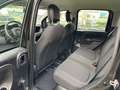 Fiat Panda 1.0 Firefly Hybrid S&S 70CV UNIPROP 9000KM Nero - thumbnail 8