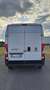 Fiat Ducato 33 2.3 MJT 120CV PLM-TM Blanc - thumbnail 4