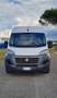Fiat Ducato 33 2.3 MJT 120CV PLM-TM Blanc - thumbnail 2
