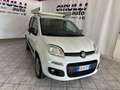 Fiat Panda 0.9 TwinAir Turbo S&S 4x4 Pop Van 2 posti Blanc - thumbnail 1