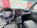 Fiat Doblo Doblò 1.6 MJT 120CV  Cargo Maxi FRIGO ivaEsp Bianco - thumbnail 9
