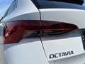 Skoda Octavia Combi 2,0 TDI Style 4x4 DSG | NP: €48.000 Weiß - thumbnail 40