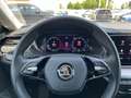 Skoda Octavia Combi 2,0 TDI Style 4x4 DSG | NP: €48.000 Weiß - thumbnail 16