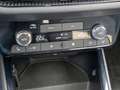 Skoda Fabia 1.0 TSI DSG Drive Panoramadach Grau - thumbnail 18