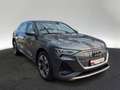 Audi e-tron 55 S line quattro 300 kW Nachtsicht Massa Grau - thumbnail 6