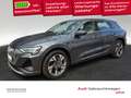 Audi e-tron 55 S line quattro 300 kW Nachtsicht Massa Grau - thumbnail 1