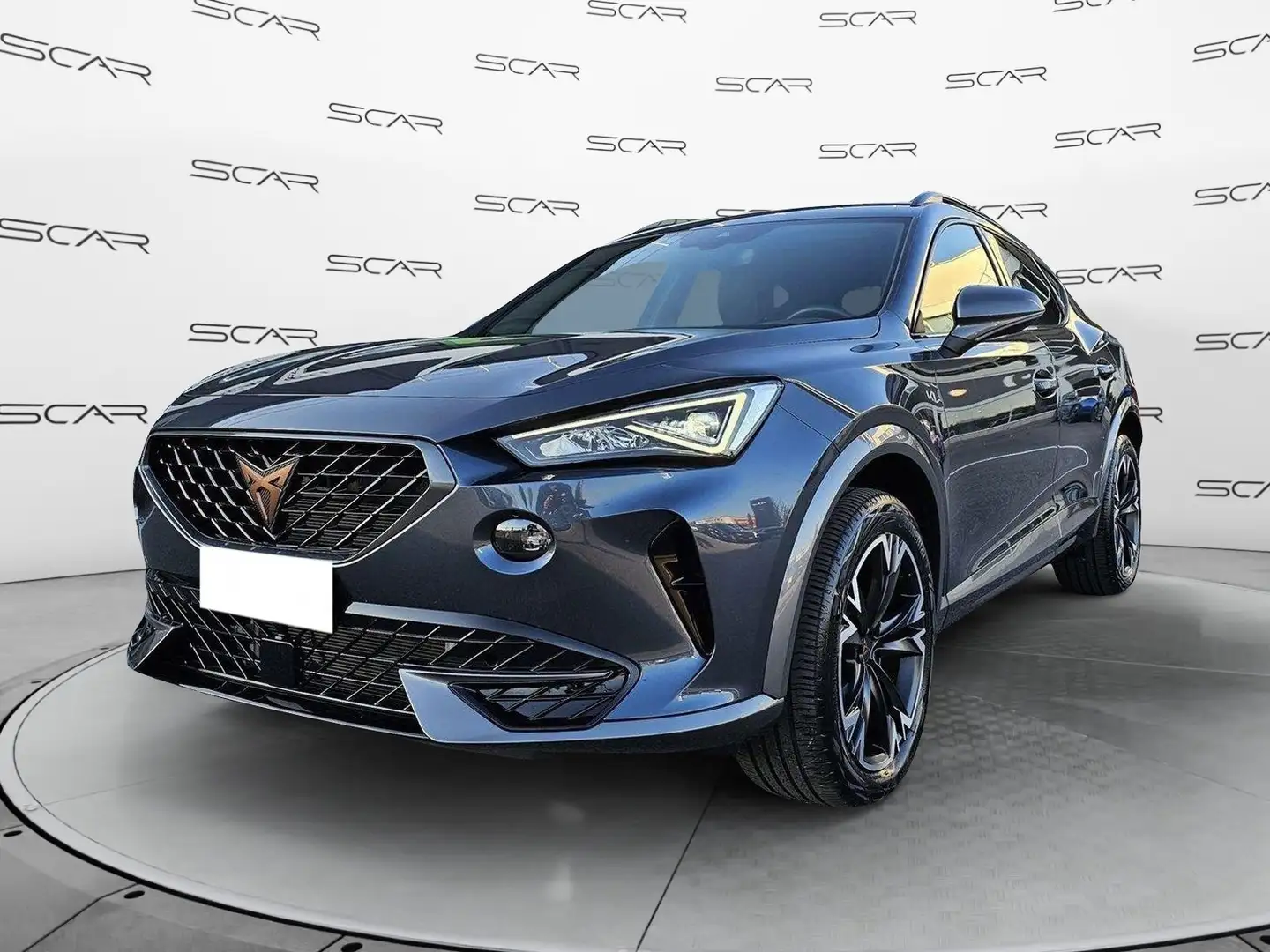 CUPRA Formentor 2.0 TDI 4Drive DSG GARANZIA UFFICIALE FINO AL 2028 Grigio - 1