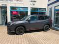 Subaru Forester 2.0ie Exclusive Cross / Sondermodell Gris - thumbnail 3