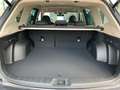 Subaru Forester 2.0ie Exclusive Cross / Sondermodell Gris - thumbnail 7
