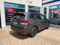 Subaru Forester 2.0ie Exclusive Cross / Sondermodell Gris - thumbnail 5