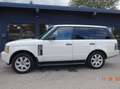 Land Rover Range Rover 3,6 Td V8 Vogue "Toppreis" Weiß - thumbnail 3