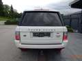 Land Rover Range Rover 3,6 Td V8 Vogue "Toppreis" Weiß - thumbnail 4