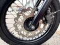 Triumph Scrambler Rumbler *8.591 Km*Special Edition* Groen - thumbnail 11