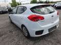 Kia Ceed / cee'd cee'd Weiß - thumbnail 4