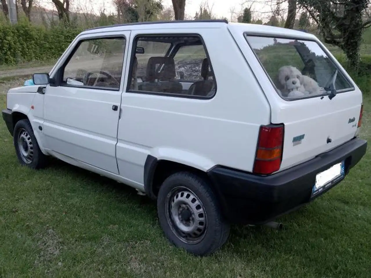 Fiat Panda 0.9 Young, foto 3