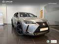 Lexus UX 250h Business 2WD Silber - thumbnail 12