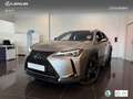 Lexus UX 250h Business 2WD Silber - thumbnail 1