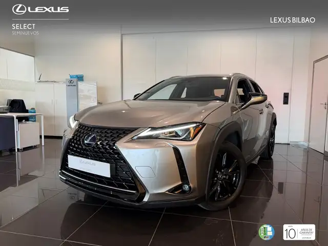 Lexus UX 250h Business 2WD