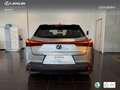 Lexus UX 250h Business 2WD Silber - thumbnail 5