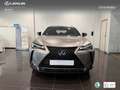 Lexus UX 250h Business 2WD Silber - thumbnail 4