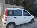 Fiat Panda 1.2 Climbing 4x4 - thumbnail 2