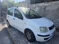 Fiat Panda 1.2 Climbing 4x4 - thumbnail 4