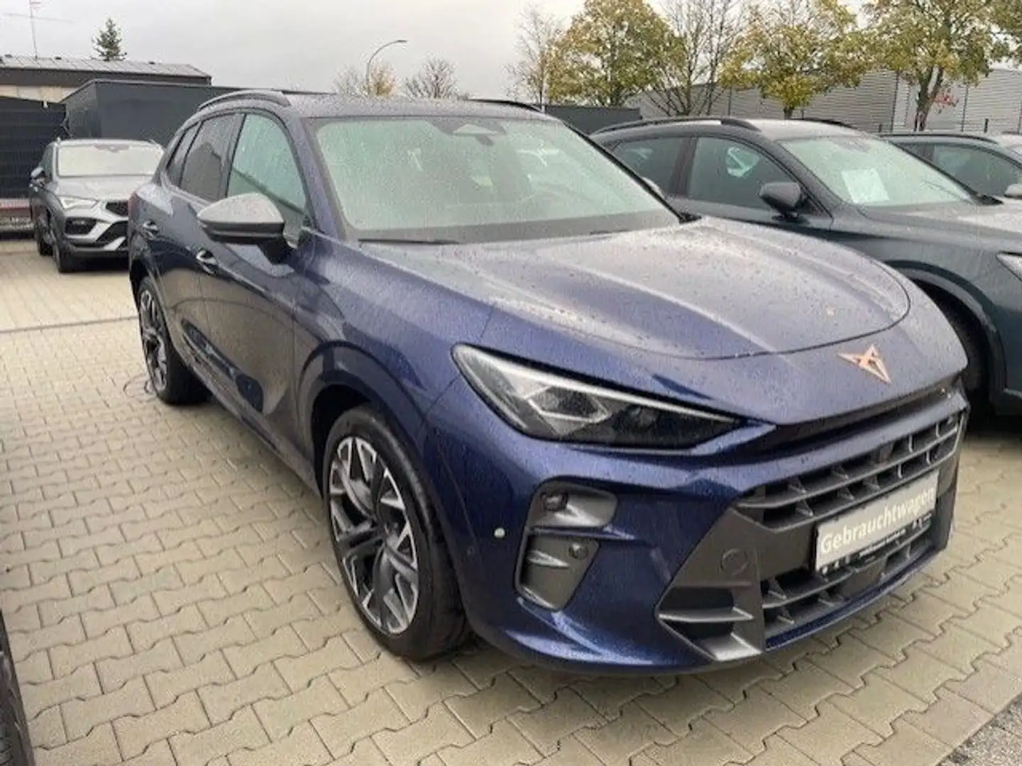 CUPRA Terramar VZ 2.0 TSI 195 kW 4Drive+AHK+Pano+Matri Blau - 2