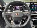 CUPRA Terramar VZ 2.0 TSI 195 kW 4Drive+AHK+Pano+Matri Blau - thumbnail 14