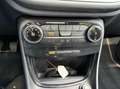 Ford Puma 1.0 EcoBoost Hybrid ST-Line X PANORAMADAK Gris - thumbnail 19