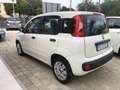 Fiat Panda 1.3 mjt 16v Lounge s&s 80cv Blanc - thumbnail 4