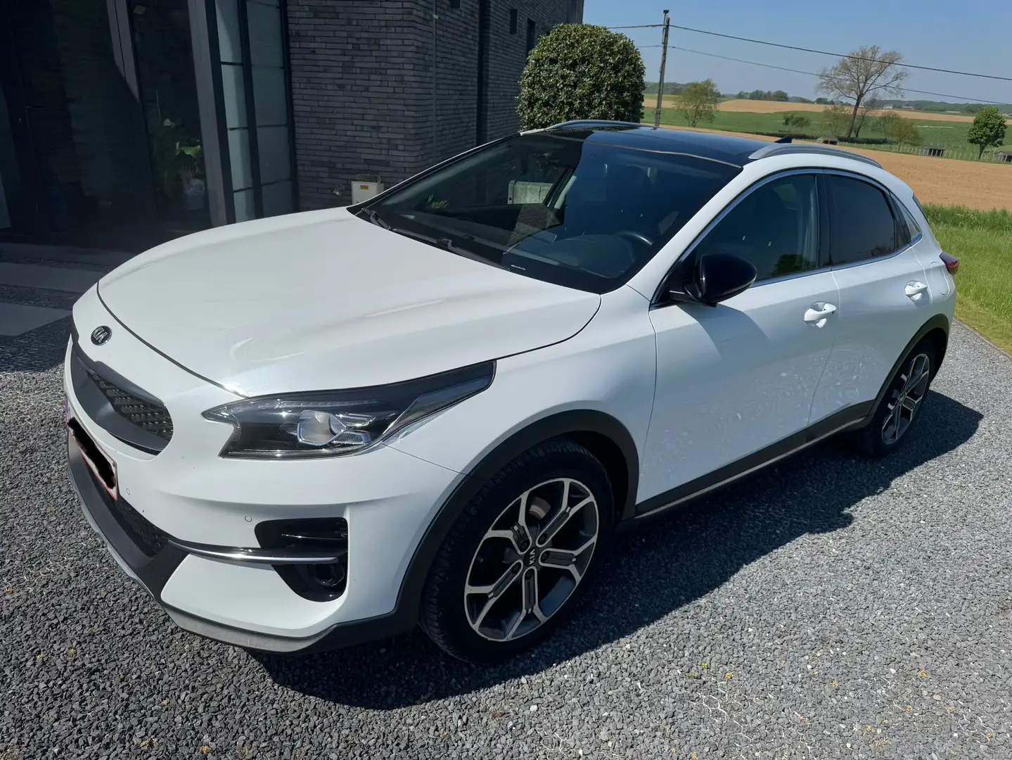 Kia XCeed 1.6 CRDi Sense ISG DCT Blanc - 2