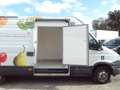 Iveco Daily 40C17V 3.0  maxi frigo carrier...KOEL+VRIES... Weiß - thumbnail 2