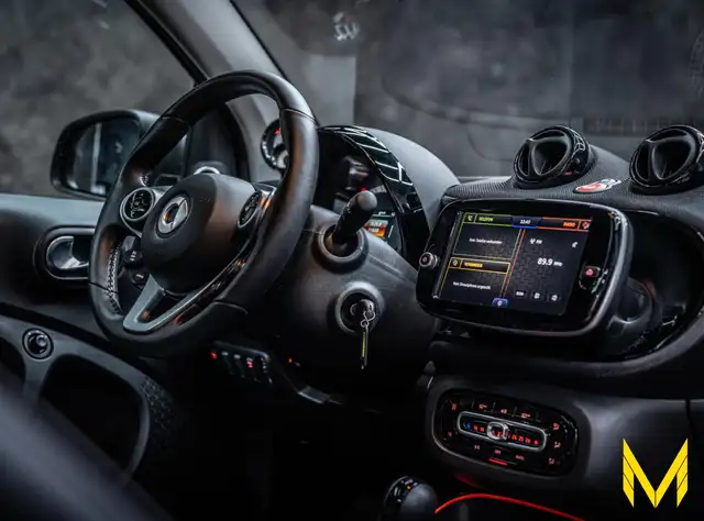 Smart Fortwo view 14