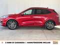 Ford Kuga 1.5 ecoblue st-line x 2wd 120cv Rouge - thumbnail 4